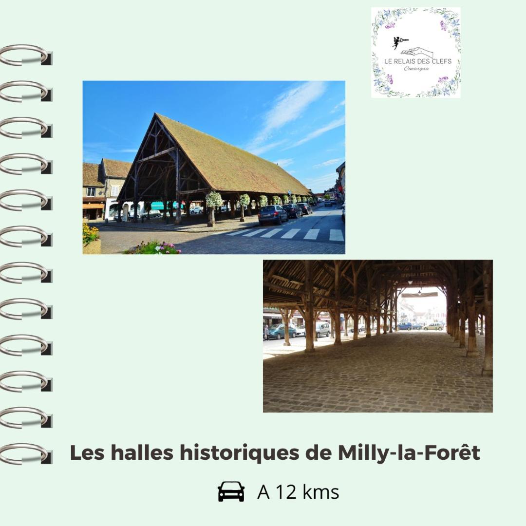 Le Relais Des Clefs - Au Calme Du Gatinais - Escapade A Deux - Terrasse Privee - Wifi - Offre Romantique Sur Demande Valpuiseaux Esterno foto